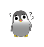 Rough eyebrows penguin（個別スタンプ：8）