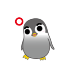 Rough eyebrows penguin（個別スタンプ：11）