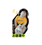 だいちスタンプ☆（個別スタンプ：6）