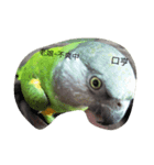 ebeb（個別スタンプ：2）