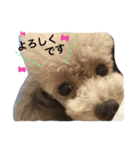 ここみみちゃん（個別スタンプ：3）