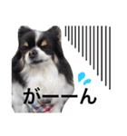 ここみみちゃん（個別スタンプ：5）