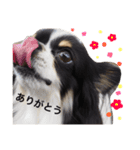 ここみみちゃん（個別スタンプ：6）