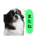 ここみみちゃん（個別スタンプ：10）