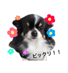 ここみみちゃん（個別スタンプ：12）