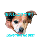 パイパーとプリンセスの愉快なスタンプ！（個別スタンプ：2）