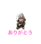愛しの泰山-1（個別スタンプ：13）