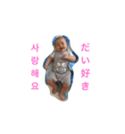 愛しの泰山-1（個別スタンプ：16）