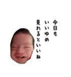 日常的に使えるうちの子スタンプです。（個別スタンプ：3）