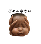 日常的に使えるうちの子スタンプです。（個別スタンプ：14）