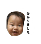 日常的に使えるうちの子スタンプです。（個別スタンプ：16）