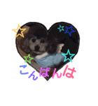 ベベあんじ（個別スタンプ：5）