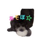 ベベあんじ（個別スタンプ：6）