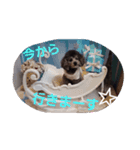 ベベあんじ（個別スタンプ：8）