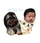 ほっぺちゃん①（個別スタンプ：4）