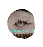 akahamuhamu（個別スタンプ：7）