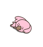 ピンクコアラスタンプ（個別スタンプ：12）