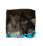 ねこねこ猫2（個別スタンプ：2）