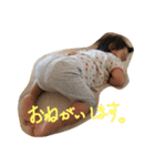 hiro＆kotoko2（個別スタンプ：6）