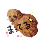 Yuzu-chan914（個別スタンプ：24）