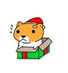 Chai and meow (Christmas articles)（個別スタンプ：8）