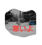 nitijyouseikatu（個別スタンプ：6）