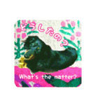可愛いダックスフンドのこころちゃん（個別スタンプ：17）