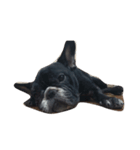 Dobby Do Do（個別スタンプ：5）