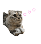 気分屋ねこ、べべ。3（個別スタンプ：1）