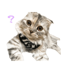 気分屋ねこ、べべ。3（個別スタンプ：2）