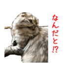 気分屋ねこ、べべ。3（個別スタンプ：3）