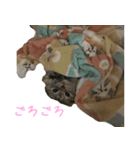 気分屋ねこ、べべ。3（個別スタンプ：14）