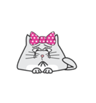Life of Catty Bow（個別スタンプ：1）