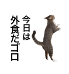 GORO's family ver.1（個別スタンプ：36）