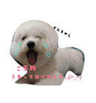 美容師からお客様へよく使う言葉（個別スタンプ：5）