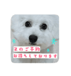 美容師からお客様へよく使う言葉（個別スタンプ：11）