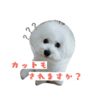 美容師からお客様へよく使う言葉（個別スタンプ：12）