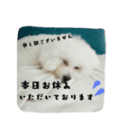 美容師からお客様へよく使う言葉（個別スタンプ：13）