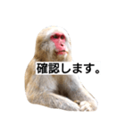 目で物を言う猿 2（個別スタンプ：18）