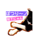 ぶにゃお家族（個別スタンプ：27）