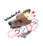 ぶにゃお家族（個別スタンプ：28）