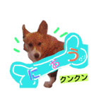 ぶにゃお家族（個別スタンプ：30）