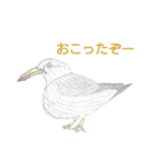 鳥好き少年(ちーくん)の目線（個別スタンプ：7）