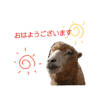 生き物すたんぷ（個別スタンプ：1）