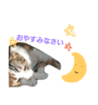 生き物すたんぷ（個別スタンプ：2）