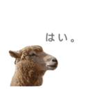 生き物すたんぷ（個別スタンプ：12）