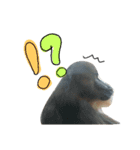 生き物すたんぷ（個別スタンプ：13）