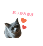 生き物すたんぷ（個別スタンプ：14）