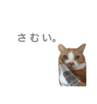 生き物すたんぷ（個別スタンプ：15）