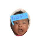 AYudu2（個別スタンプ：11）